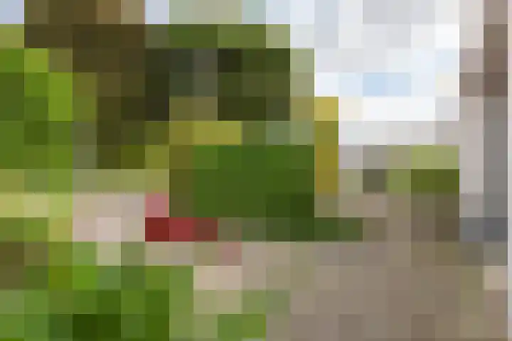 Mast 5 Wijk bij Duurstede thumbnail 36