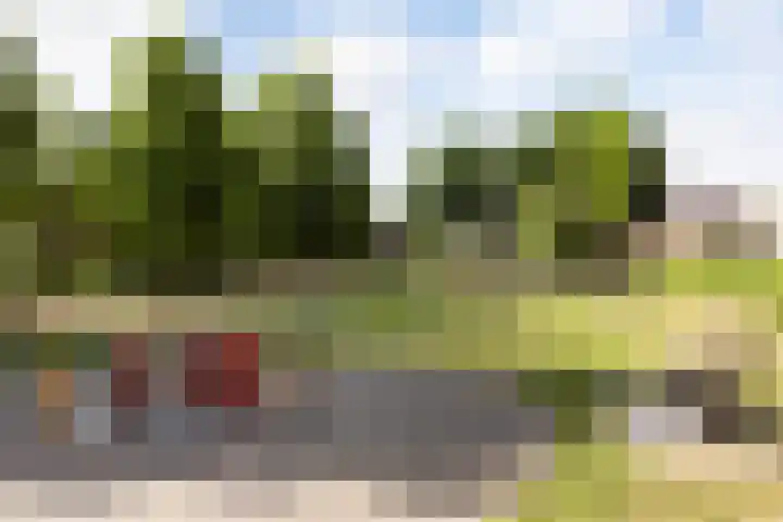 Mast 5 Wijk bij Duurstede thumbnail 38