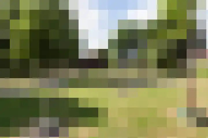 Mast 5 Wijk bij Duurstede thumbnail 39