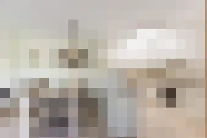 Mast 5 Wijk bij Duurstede thumbnail 4