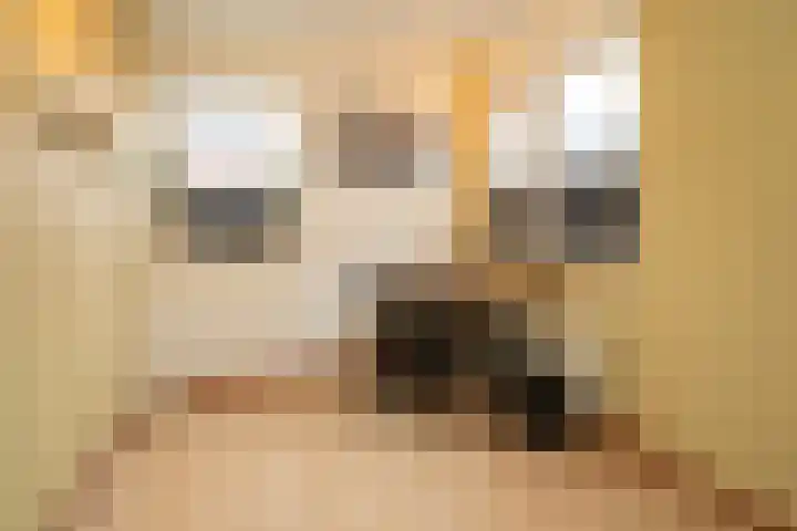Mastbos 116 Enschede thumbnail 19
