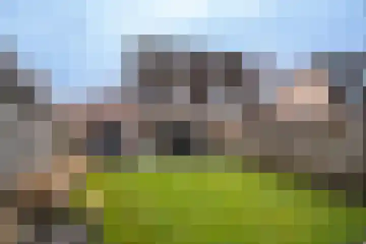 Mastbos 116 Enschede thumbnail 4