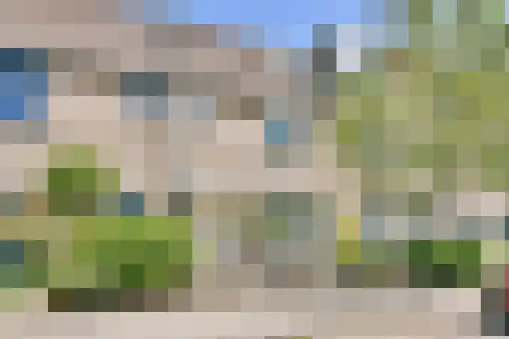 Mastbos 250 Hoofddorp