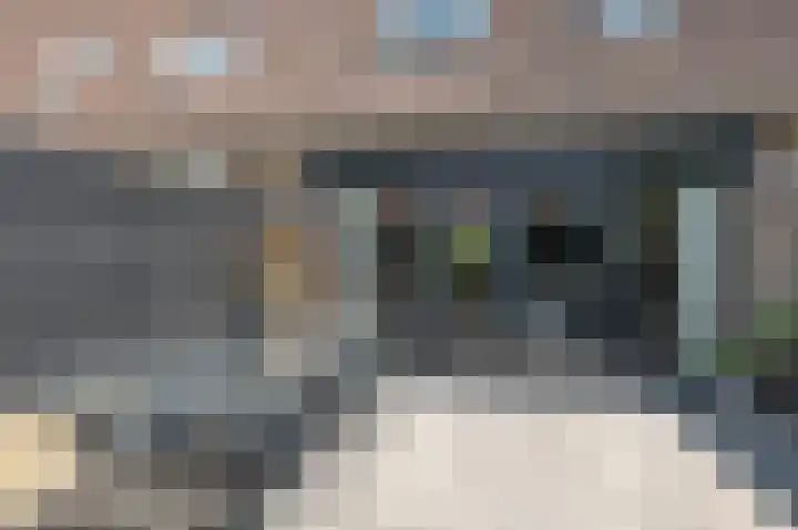 Mastbos 27 Hoofddorp thumbnail 14