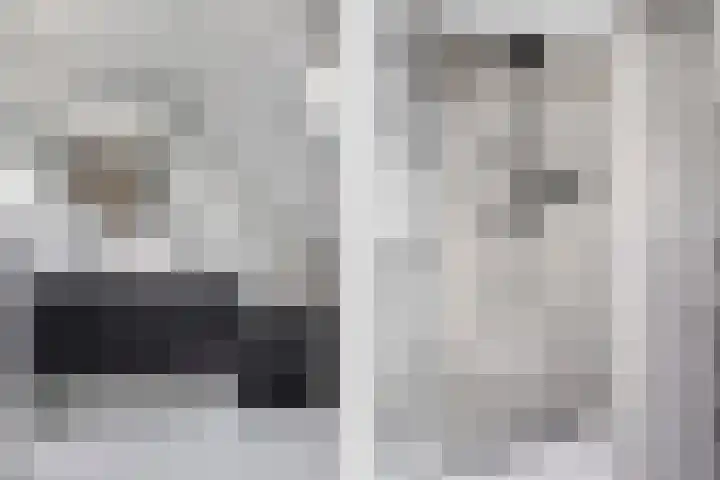Mastbos 27 Hoofddorp thumbnail 25