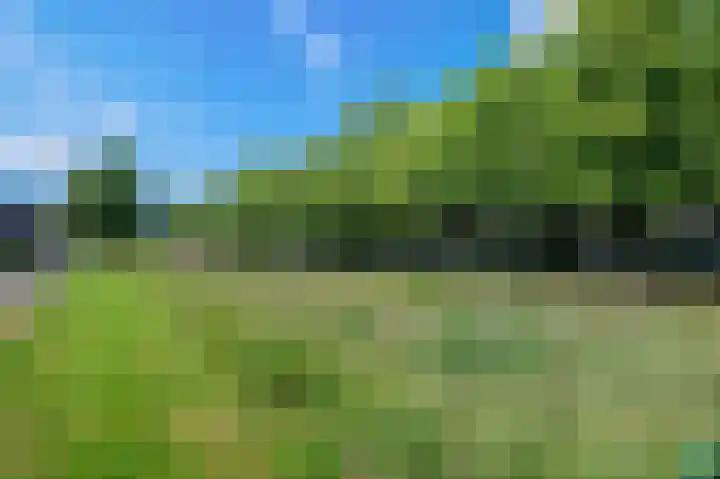 Mastbos 27 Hoofddorp thumbnail 31