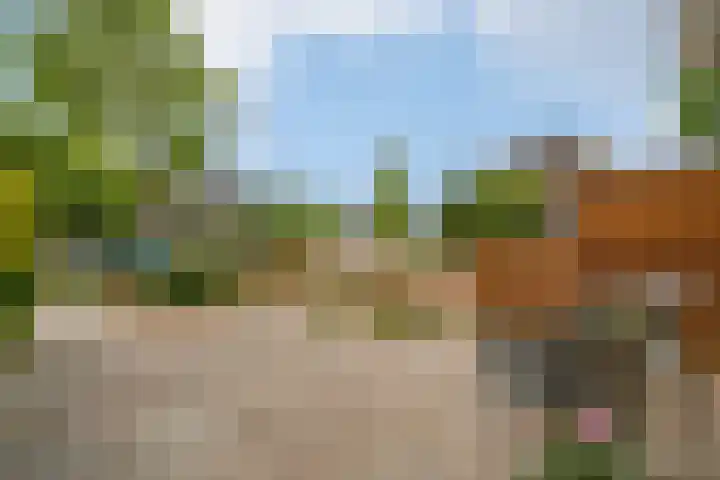 Mastbos 43 Hoofddorp thumbnail 32
