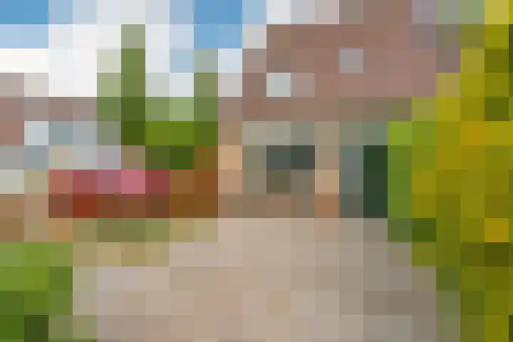 Mastbos 43 Hoofddorp thumbnail 33