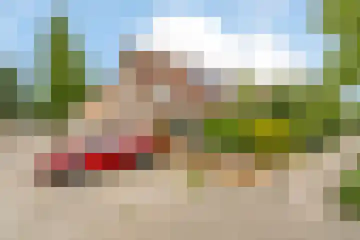 Mastbos 43 Hoofddorp thumbnail 34