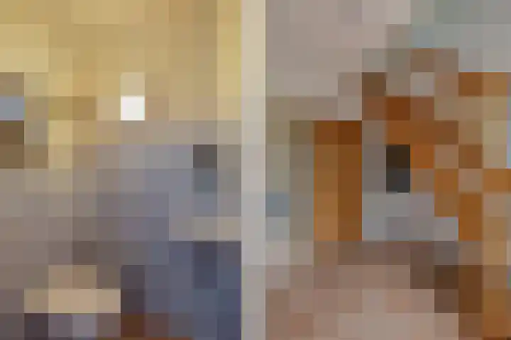 Master de Jongwei 12 De Tike thumbnail 13