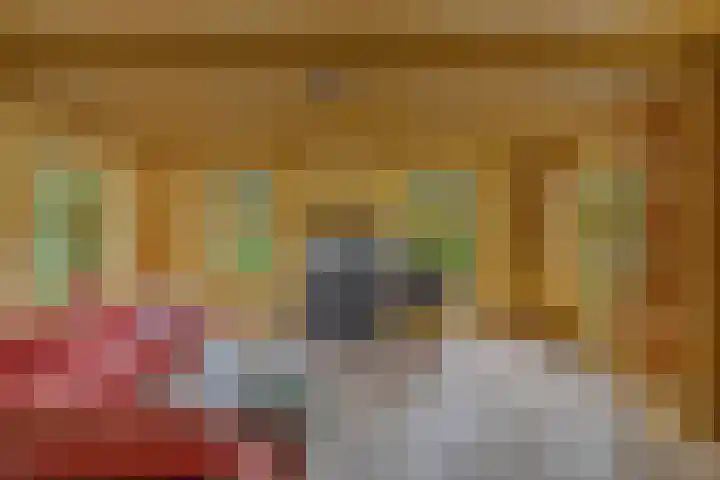 Master de Jongwei 12 De Tike thumbnail 14