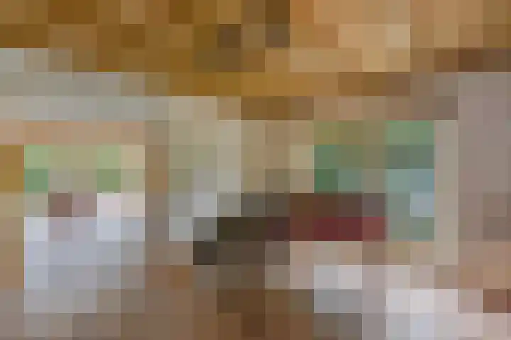 Master de Jongwei 12 De Tike thumbnail 19