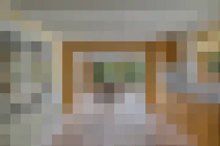 Master de Jongwei 12 De Tike thumbnail 21