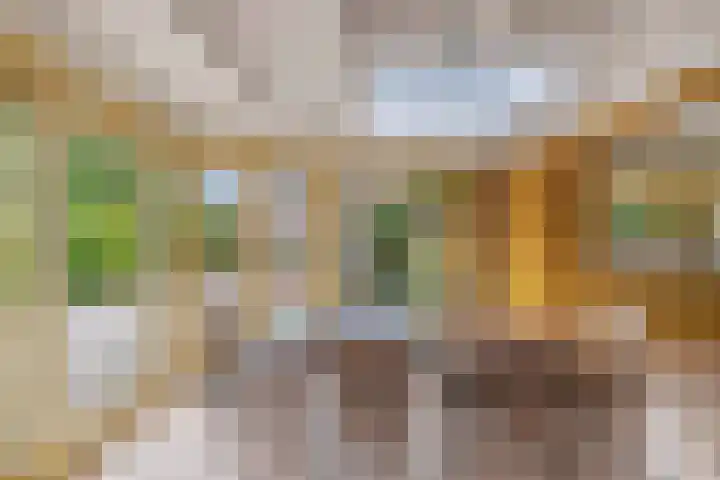 Master de Jongwei 12 De Tike thumbnail 25