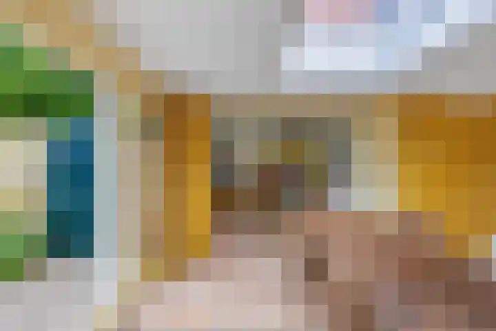 Master de Jongwei 12 De Tike thumbnail 29