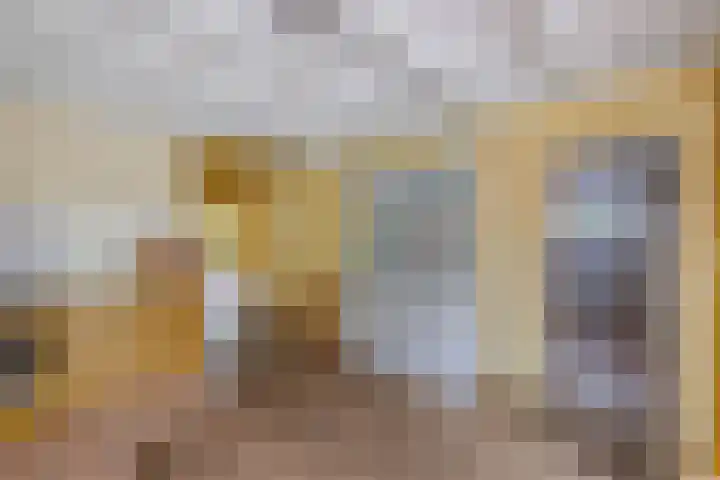 Master de Jongwei 12 De Tike thumbnail 31