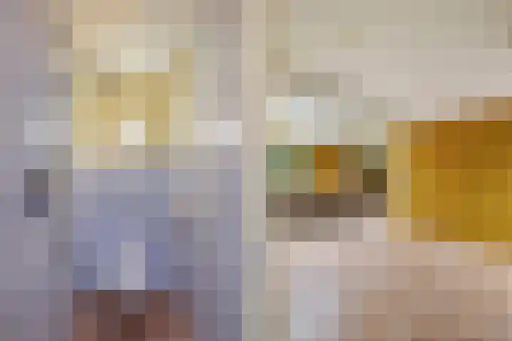 Master de Jongwei 12 De Tike thumbnail 32