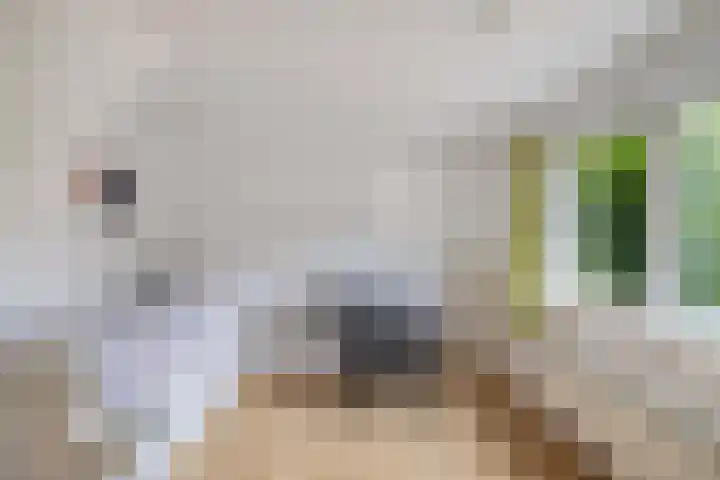 Master de Jongwei 12 De Tike thumbnail 34