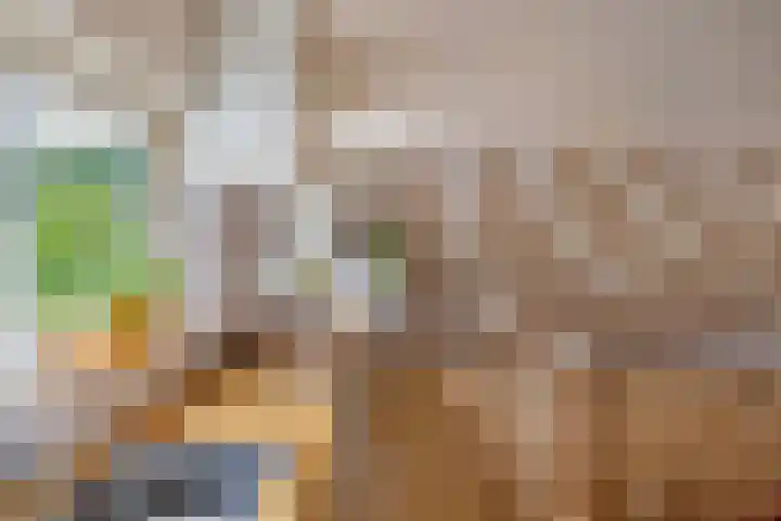 Master de Jongwei 12 De Tike thumbnail 40