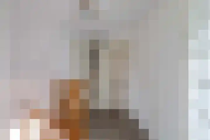 Master de Jongwei 12 De Tike thumbnail 44