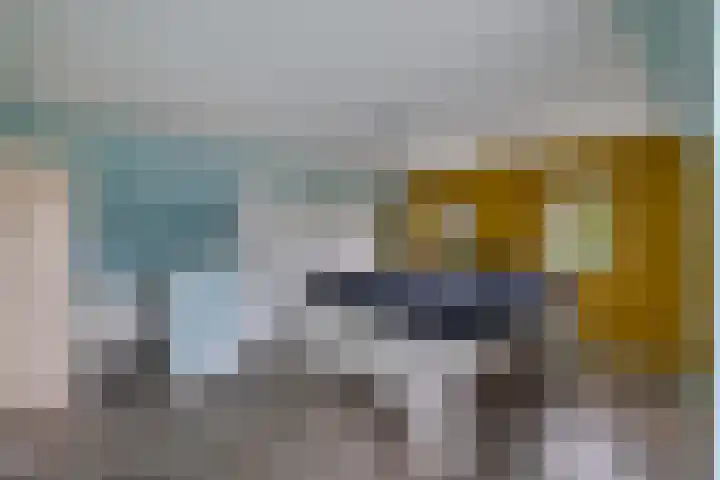 Master de Jongwei 12 De Tike thumbnail 46