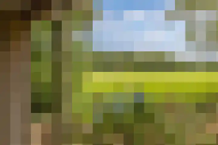 Master de Jongwei 12 De Tike thumbnail 5