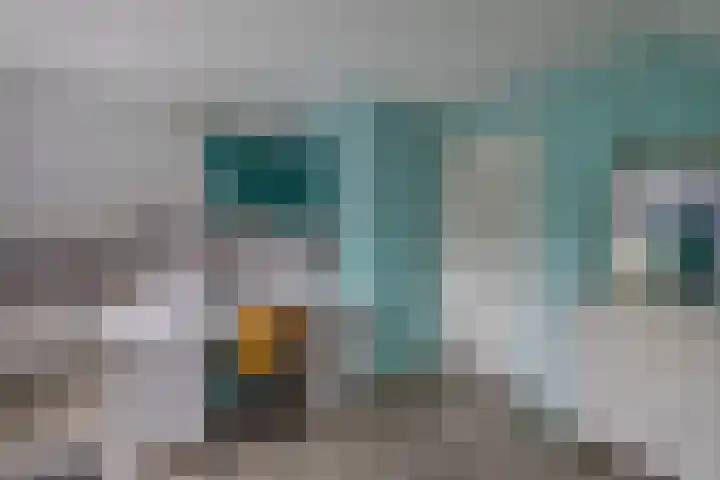 Master de Jongwei 12 De Tike thumbnail 53
