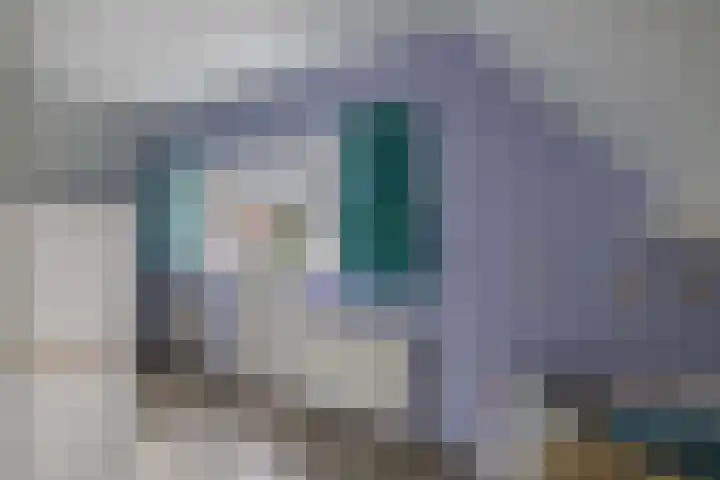 Master de Jongwei 12 De Tike thumbnail 54