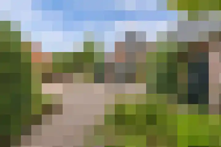 Master de Jongwei 12 De Tike thumbnail 58