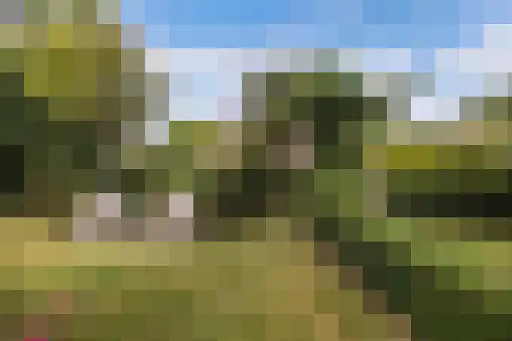 Master de Jongwei 12 De Tike thumbnail 65