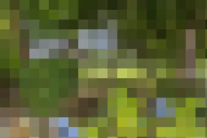 Master de Jongwei 12 De Tike thumbnail 68