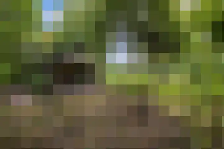 Master de Jongwei 12 De Tike thumbnail 69