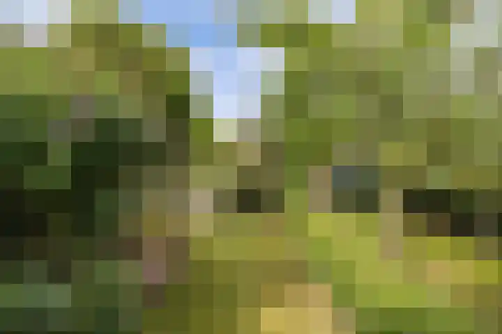 Master de Jongwei 12 De Tike thumbnail 71