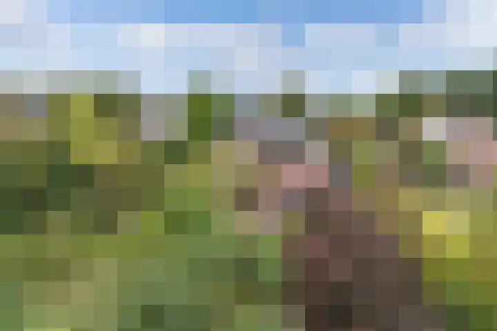 Master de Jongwei 12 De Tike thumbnail 72