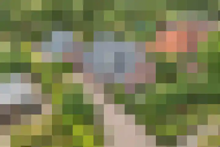Master de Jongwei 12 De Tike thumbnail 88