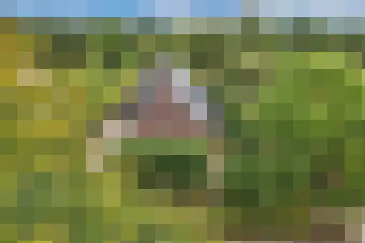 Master de Jongwei 12 De Tike thumbnail 9