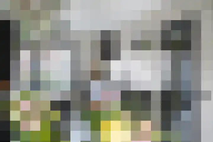 Master Gorterstrjitte 9 b Reduzum thumbnail 10