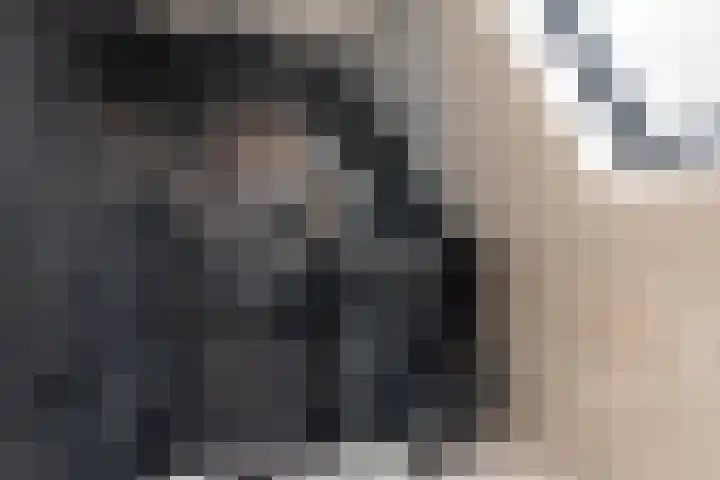 Master Gorterstrjitte 9 b Reduzum thumbnail 22
