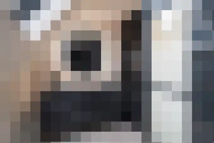 Master Gorterstrjitte 9 b Reduzum thumbnail 23