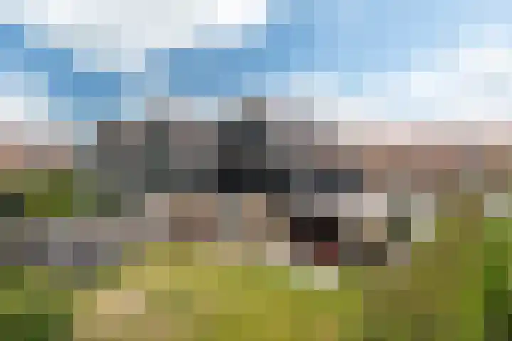 Master Gorterstrjitte 9 b Reduzum thumbnail 27