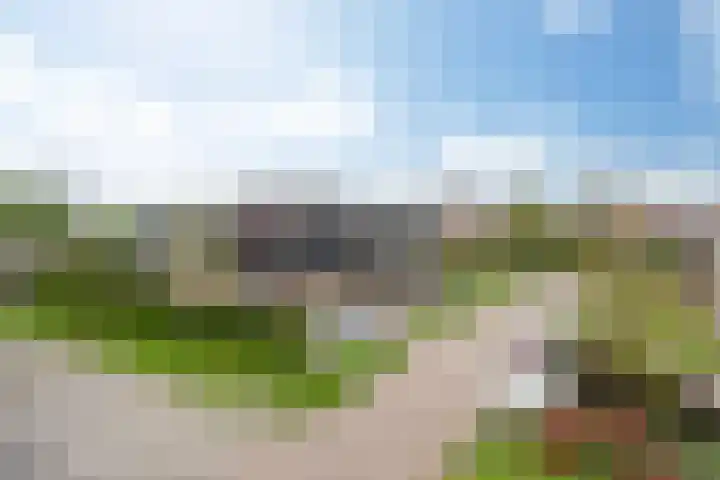 Master Gorterstrjitte 9 b Reduzum thumbnail 29