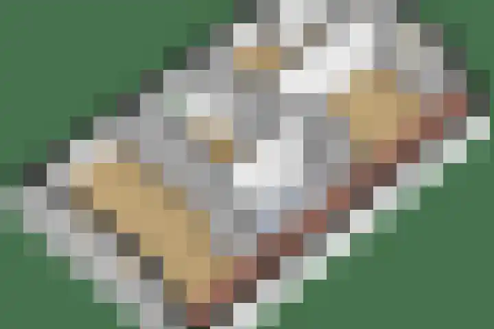 Master Gorterstrjitte 9 b Reduzum thumbnail 34