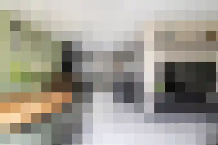 Master Gorterstrjitte 9 b Reduzum thumbnail 4