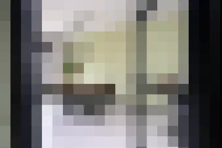 Master Gorterstrjitte 9 b Reduzum thumbnail 5