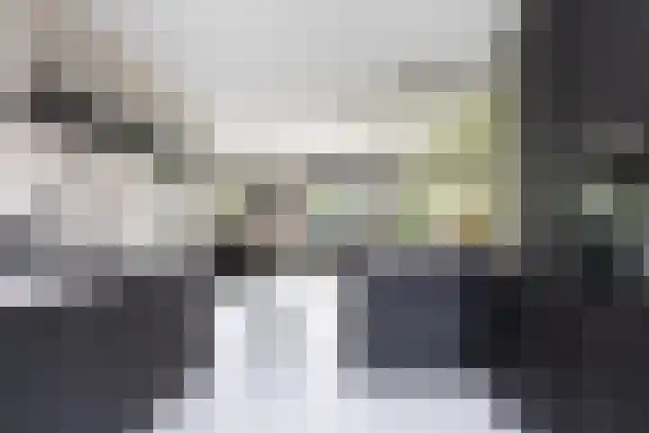 Master Gorterstrjitte 9 b Reduzum thumbnail 8