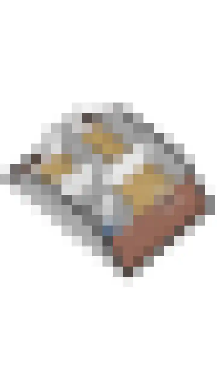 Master Hoeksmawei 26 Drogeham thumbnail 16