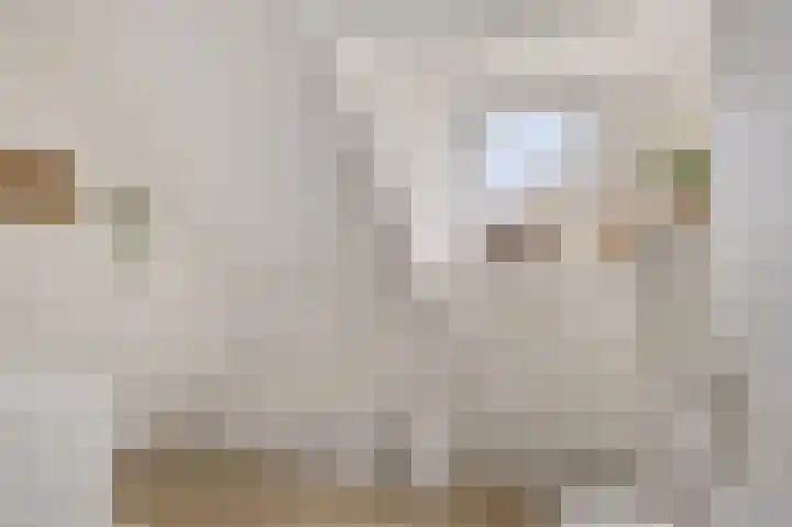 Master Hoeksmawei 26 Drogeham thumbnail 21