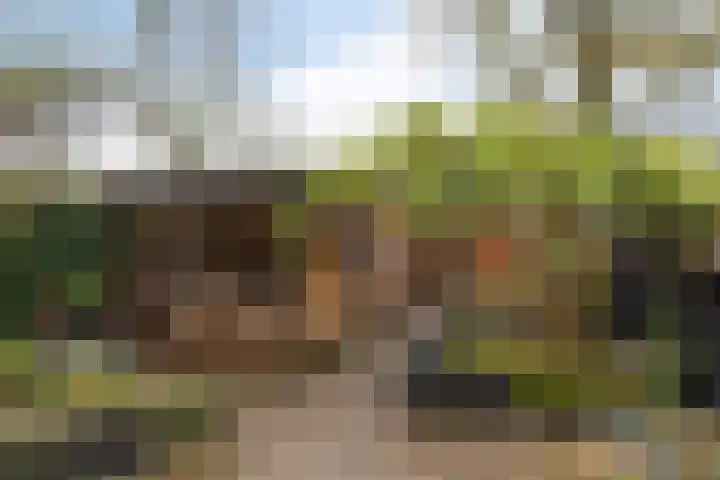 Master Hoeksmawei 26 Drogeham thumbnail 31
