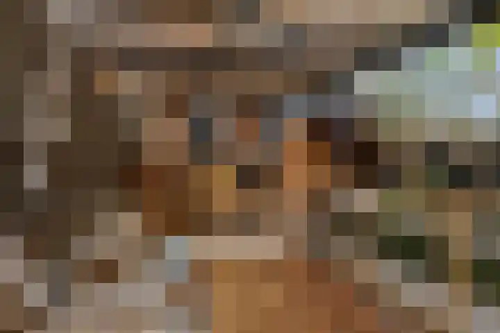 Master Hoeksmawei 26 Drogeham thumbnail 33
