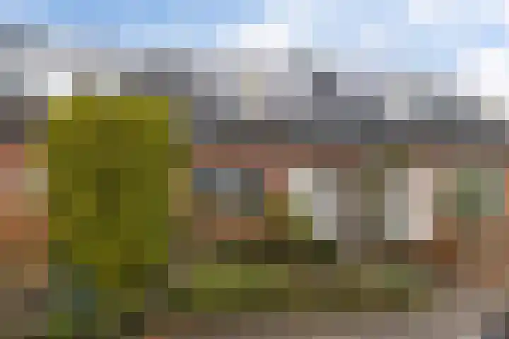 Master Hoeksmawei 26 Drogeham thumbnail 34